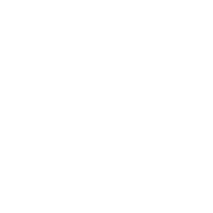 Logo & Branding Design